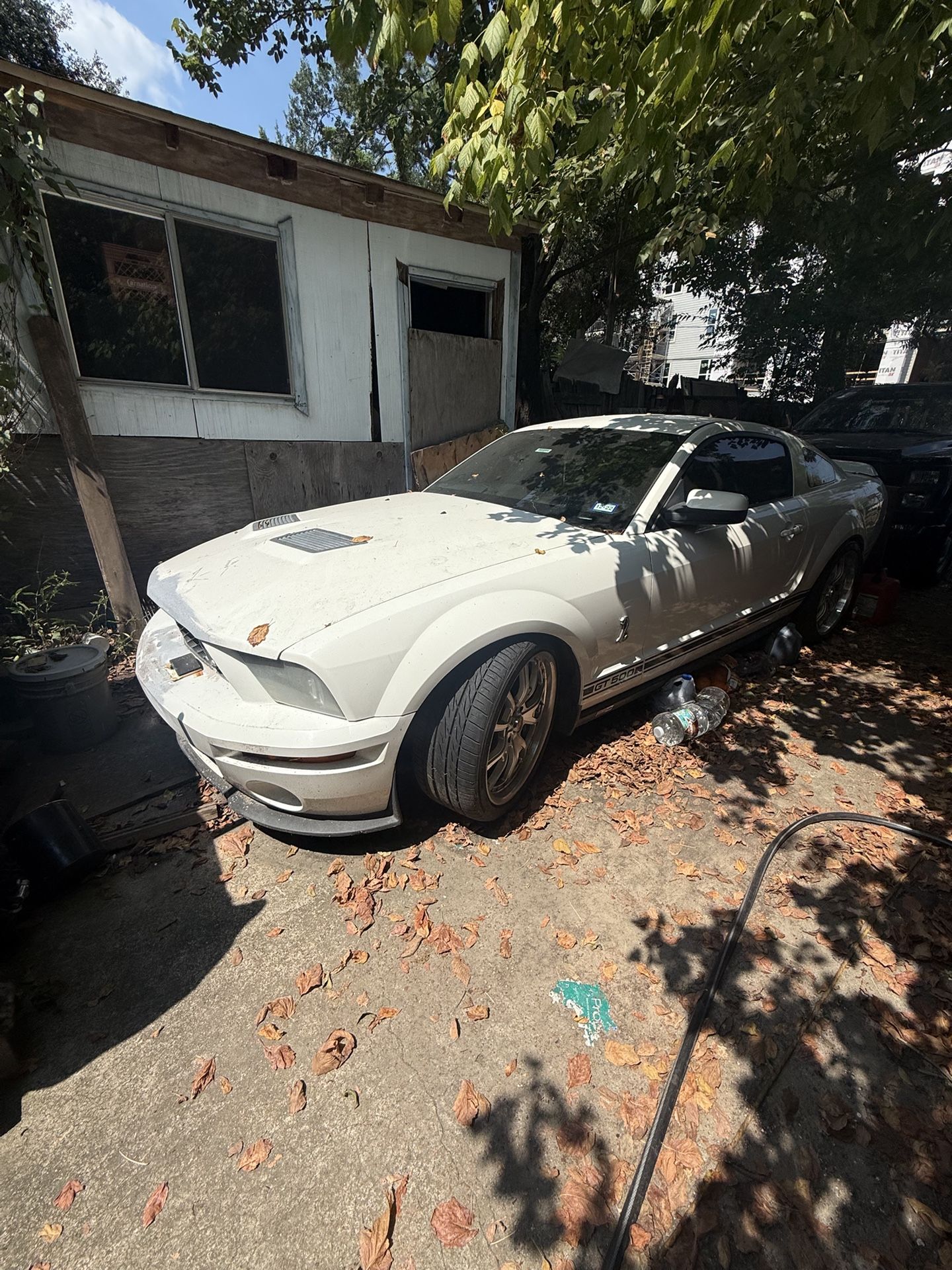 2009 Ford Mustang