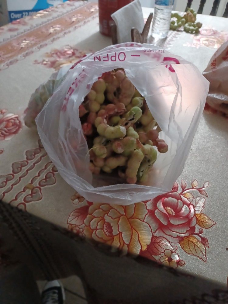 Guamuche
