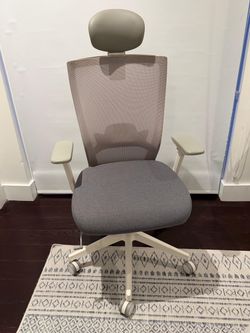 Gray Mesh Ergonomic Office Chair with Headrest