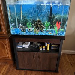 Fish Tank With Accessories and Stand 