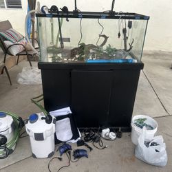 40 Gallon Fish Tank