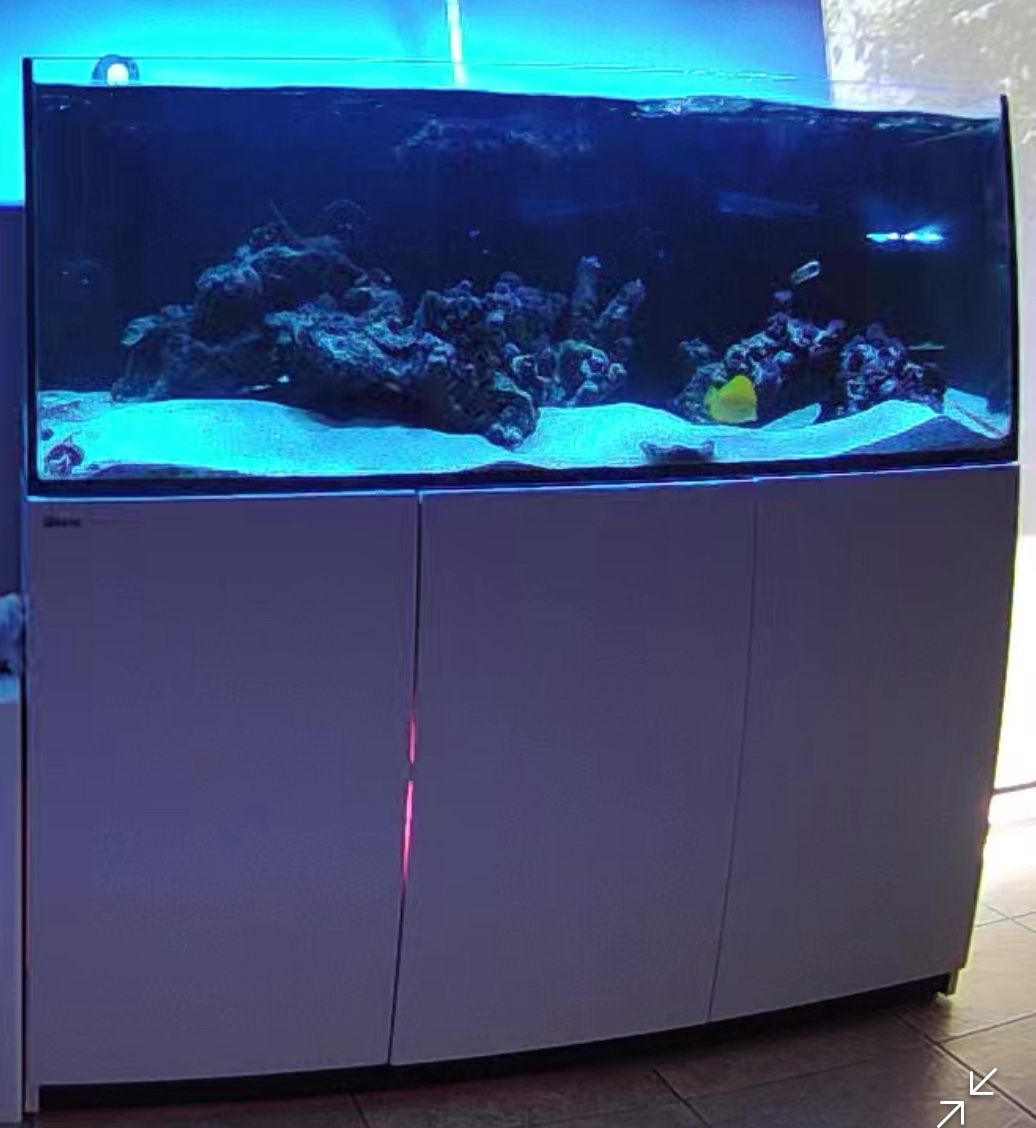 aquarium Redsea 525 Xl