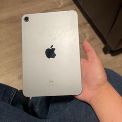 Ipad Mini Gen 6 (Need Gone)