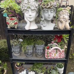 Valentines Succulent Planters