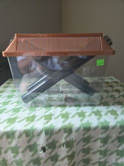 Cricket cage