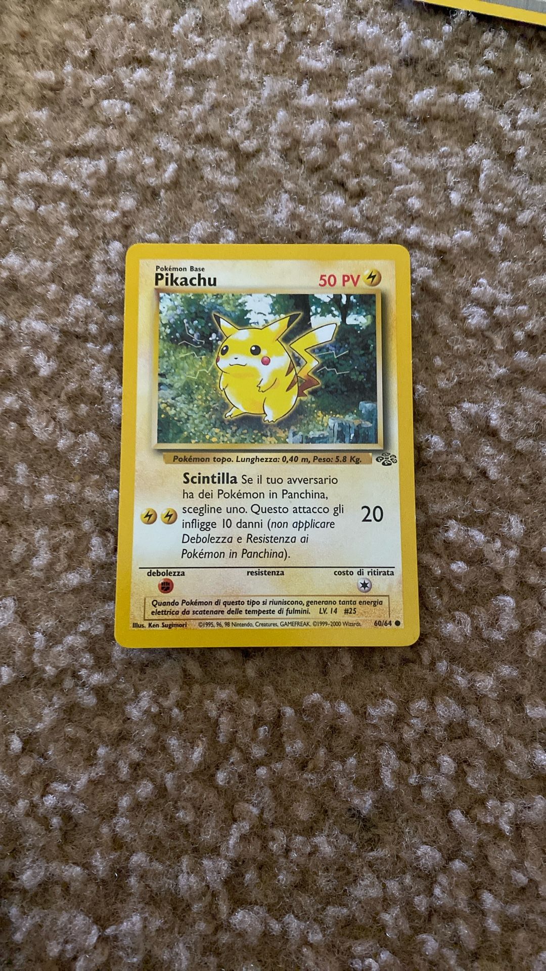 Spanish Original Jungle Pikachu 60/64 Pokémon Card