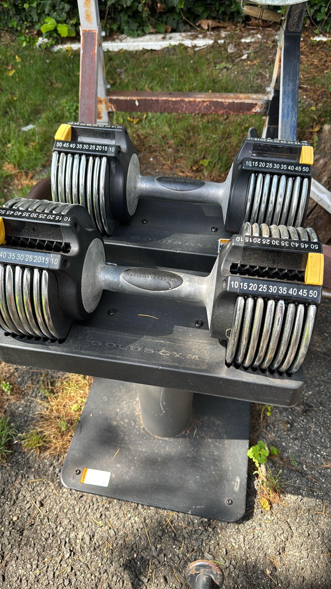 Golds Gym Weights