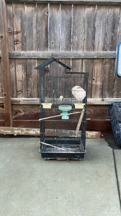 Big Bird House