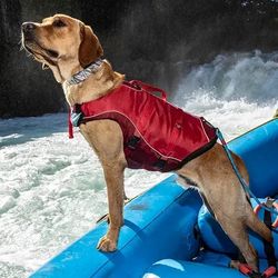 Kurgo Dog Water Life Jacket, Inflatable Safety Jacket for Dogs (Large)