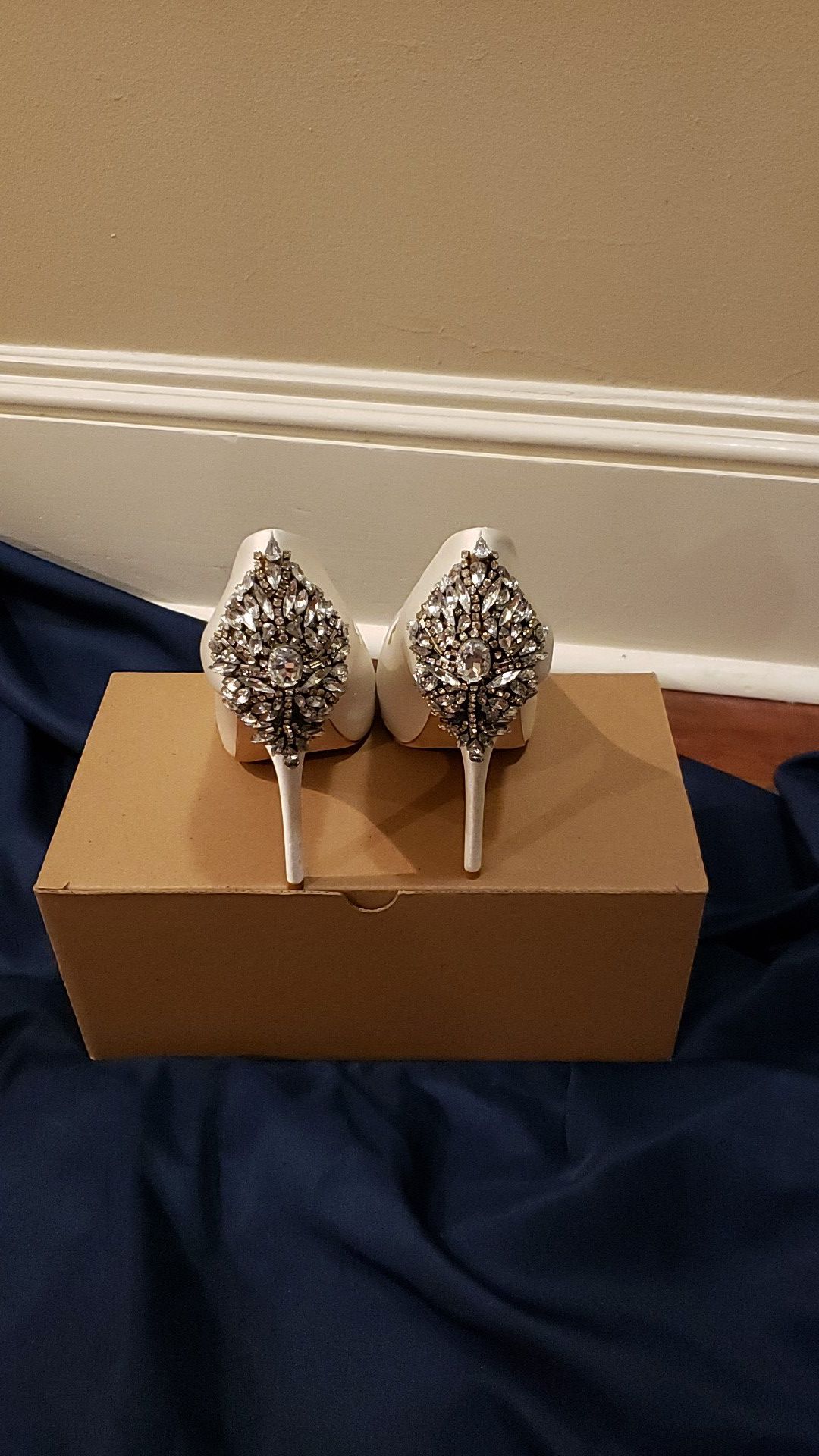 Badgley Mischka Wedding Shoes Used