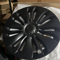 Model Y 19 Inch Hubcaps $25