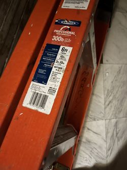 Werner 6 Ft. Fiberglass Step Ladder ( 10 Ft. Reach Height) With 300 Lb. Load Capacity Type Ia Duty Rating
