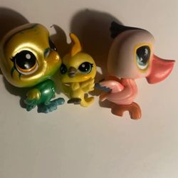 LPS bird Bundle 