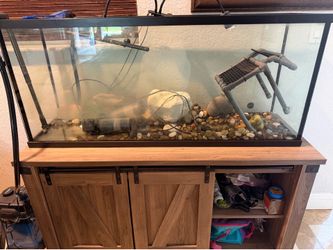 Fish / Turtle Tank