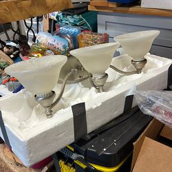 Bathroom Vanity Light , Brushed Stainless