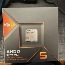 Ryzen 5 8600G