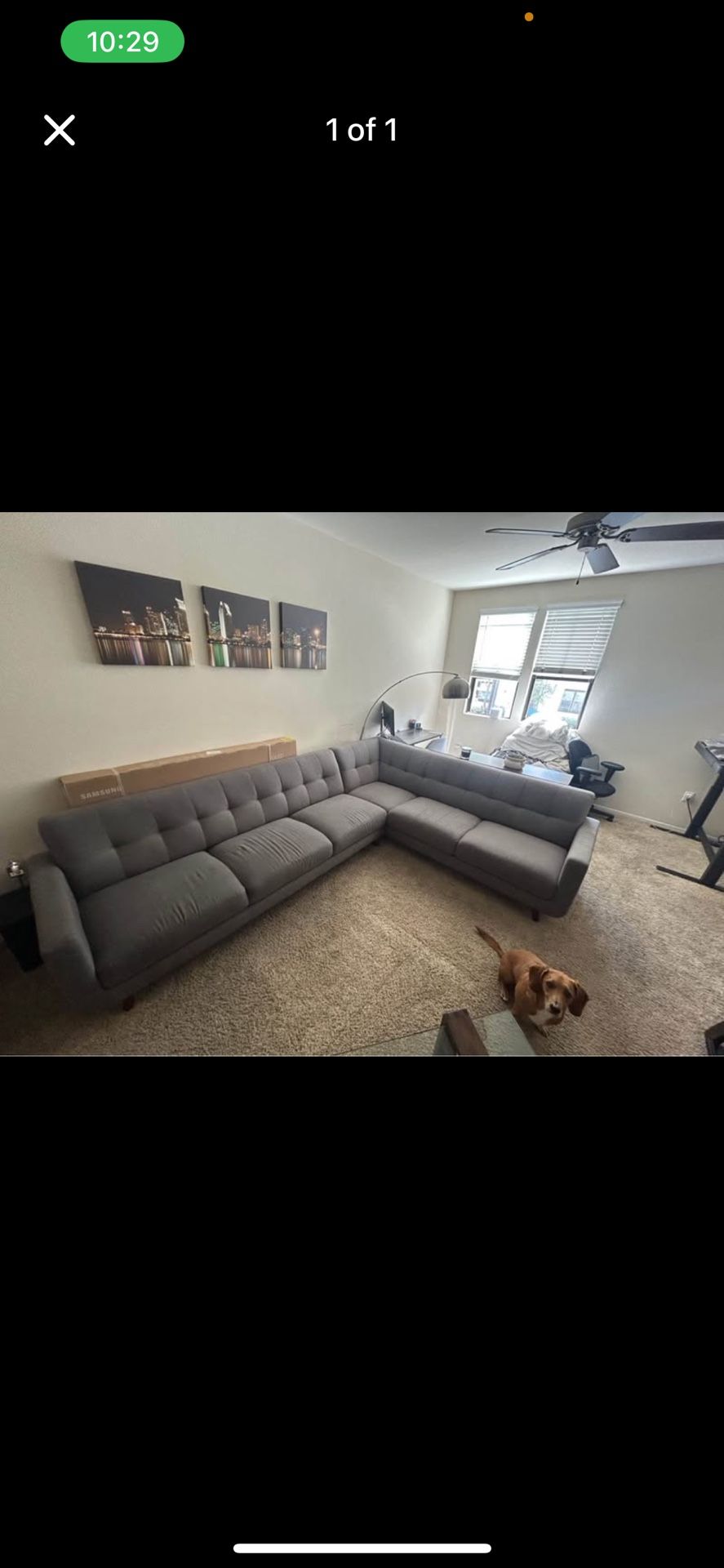 Sectional Couch