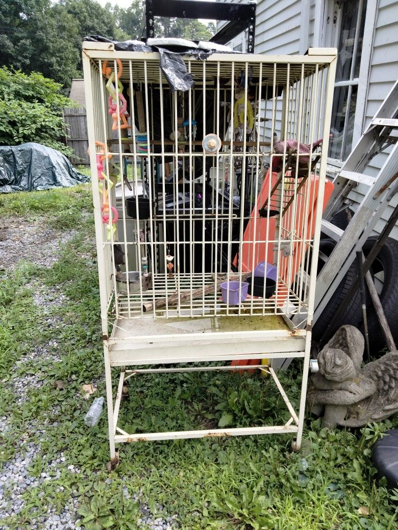 Parrot Cage