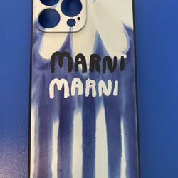 iPhone 13 Pro Max Phone Case 