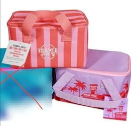 Trader joes Striped mini tote cooler bag