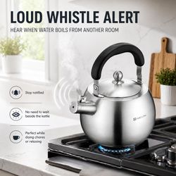 Large Stainless Steel Tea Kettle 6.3 QT new