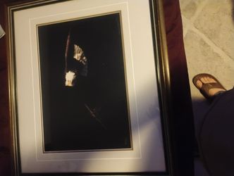 Tom Mangelsen Out Of Darkness