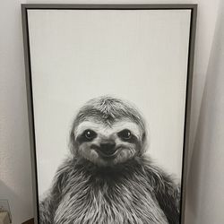 Large sloth Photo