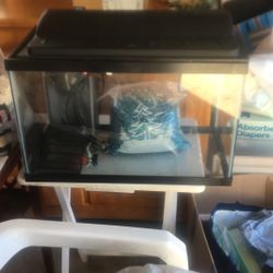 aquarium 10 gallon 