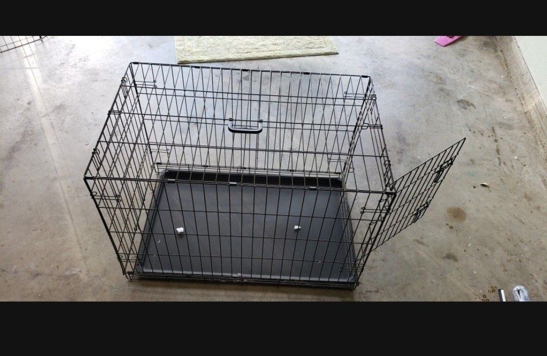 Cage Dog