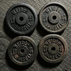Weider Standard 1" 10lb ×4 weight plates weights plate 10 lb Ibs 10lbs Cast Iron