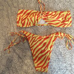 Zebra Print Bikini 