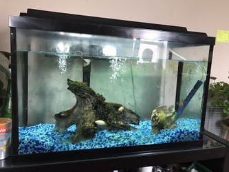 Fish tank with fish 3 fish everything included .