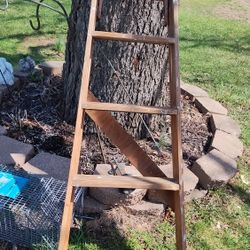 6 Ft Ladder