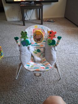 Baby Bouncer
