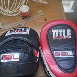 Boxing Pads