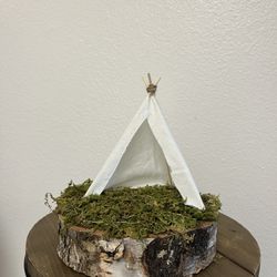 Moss Wood Slice Centerpieces