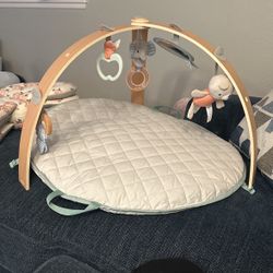 Brand New Baby Play Gym