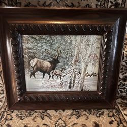 Elk Wildlife Art Print In Hardwood Frame