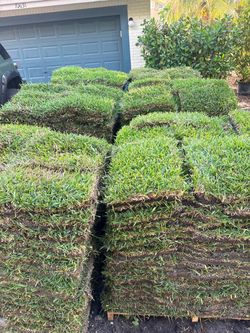 π± Fresh sod for sale