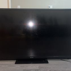 Flat Screen Television 