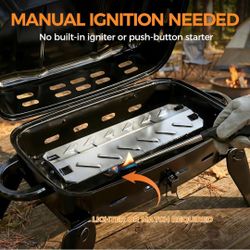 MASTER COOK Portable Gas Grill, 10,000 BTU Outdoor