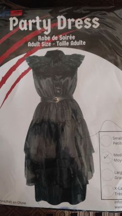 Adult size medium Wednesday Adams dress