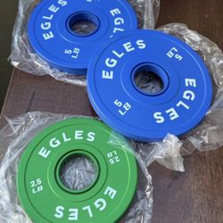 Set of 5lb plates + Extra Green Plate