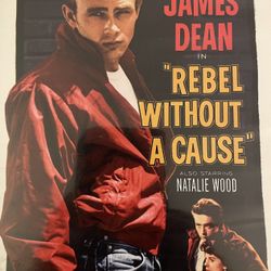 REBEL WITHOUT A CAUSE Two-Disc Special Edition (DVD-1955) James Dean!