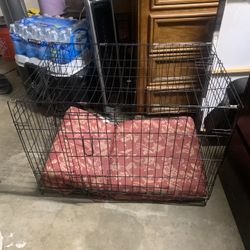 Dog Case $20