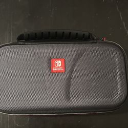 Nintendo Case