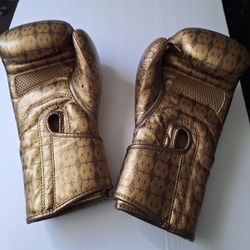 Boxing Gloves/ Guantes De Box