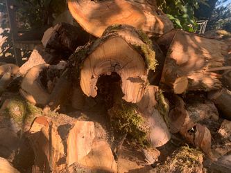 APPLE WOOD