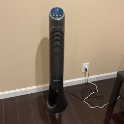 Oscillation Fan 