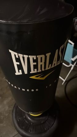 Everlast power core freestanding